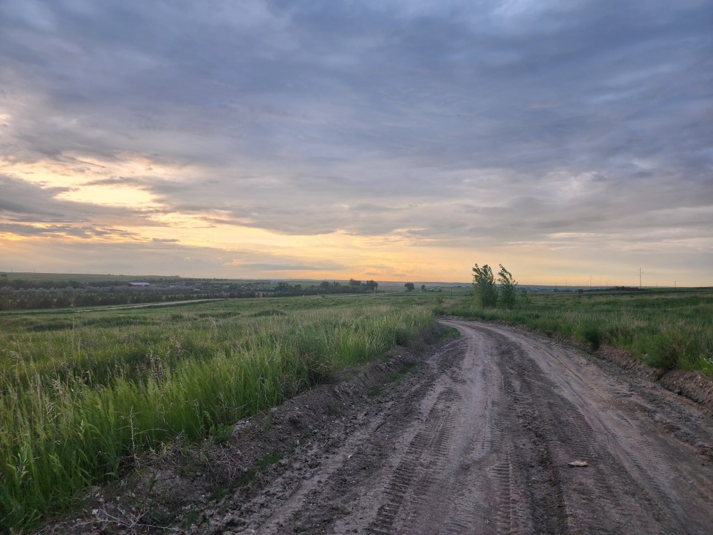 Maximizing Minute Steps